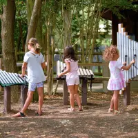 Weenotes Ensemble (includes Merry, Piper, and Griffin)