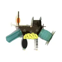 English Hawthorn Canopy Mini