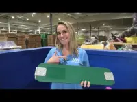 Elite Belt Swing Seat