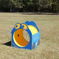 Infinity Express Tunnel