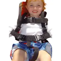 JennSwing Replacement Safety Harness