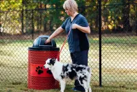 Paws Design Perforated Style Trash Receptacle