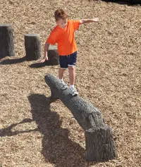 NatureROCKS 8-foot Fallen Tree Balance Beam