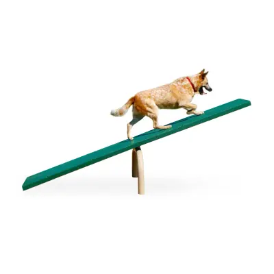 BarkPark Teeter Totter