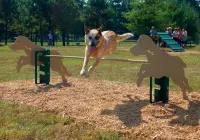 6-Piece Intermediate BarkPark Kit