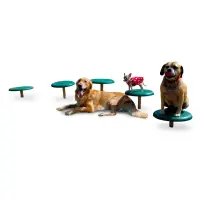 BarkPark Stepping Paws