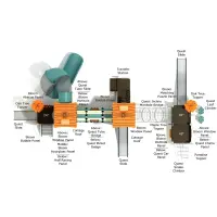 Sugarberry Canopy Quest