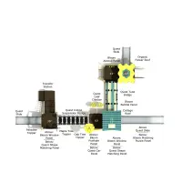 Quaking Aspen Canopy Quest