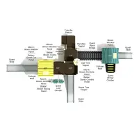 Manzanita Canopy Quest