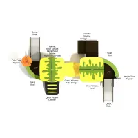 Myrtlewood Canopy Quest