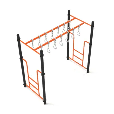 Freestanding Double Swinging Ring Ladder