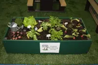 Raised Garden Bed
