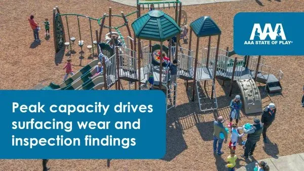 How Many Kids Can a Playground Really Handle? What Happens When Capacity is Reached