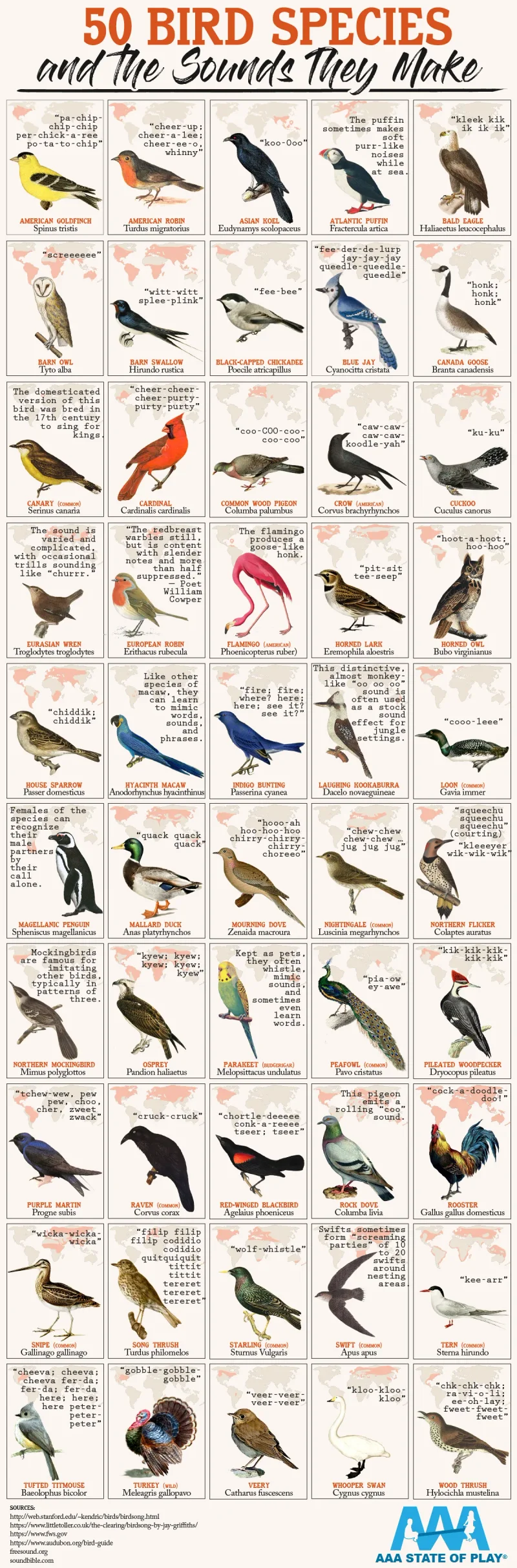 Outdoor Fun: 50 Bird Species and Their Sounds - Playground Equipment, Picnic Tables, and Shade