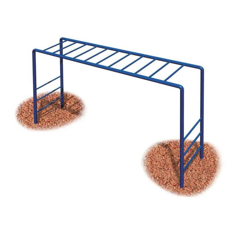 School Age Horizontal Ladder