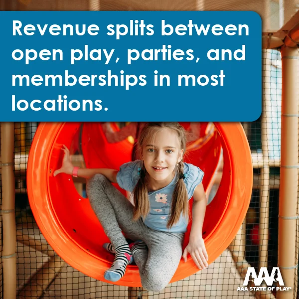 Are Indoor Playgrounds Profitable?