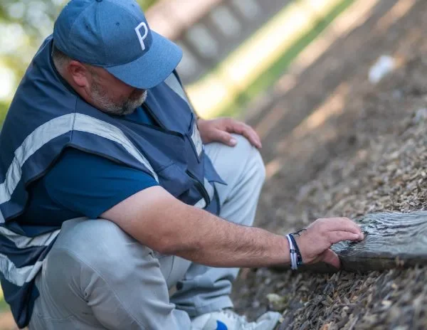 When Playground Inspections Trigger Public Scrutiny