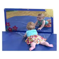 Sunny Meadow Mirror