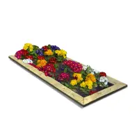 Garden Bed