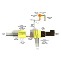 Arizona Fir Canopy Quest