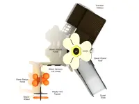 Columbian Spruce Canopy Quest