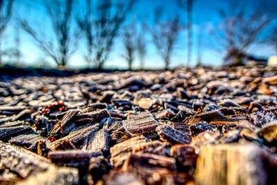 Playground Mulch 101