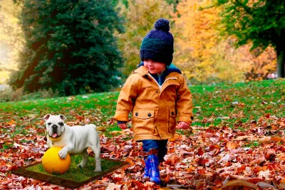 Playground Safety For Your Children And Pets