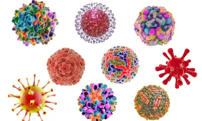 20 Common Viruses Found On Playground Equipment