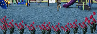 Plants And Rubber Mulch