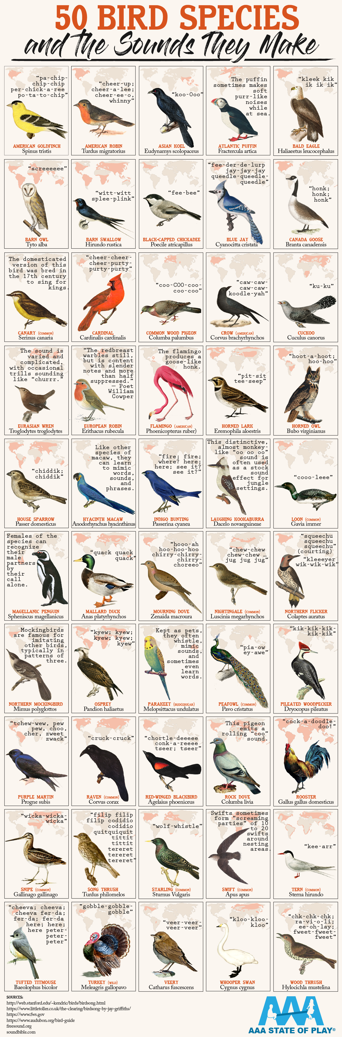 Outdoor Fun: 50 Bird Species and the Sounds they Make - Outdoor Benches for  Park Activities