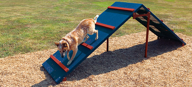 Dog Park Diy Dog Agility Ramp Dog Agility Course Backyard Set