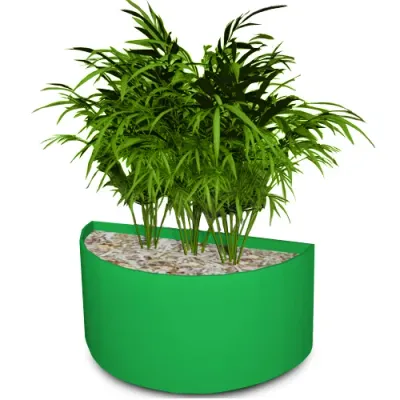 amy dieffenbachia care Dieffenbachia Amy Live Plant - Tropical Colorful Foliage Indoor Plant