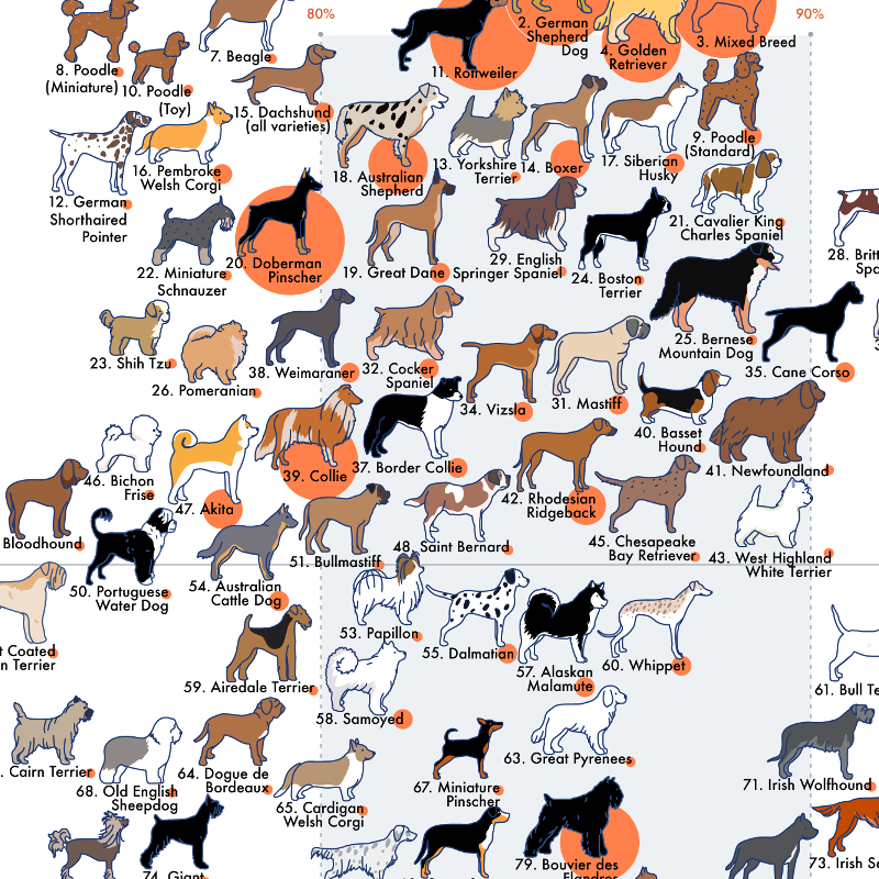 Picture Chart Of Dog Breeds