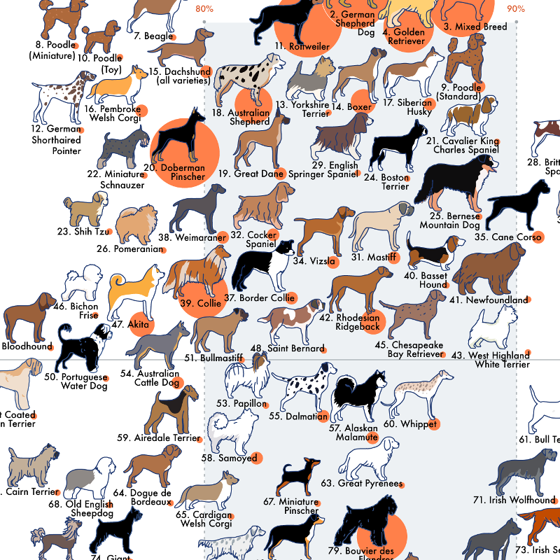 Dog Breeds Chart With Pictures